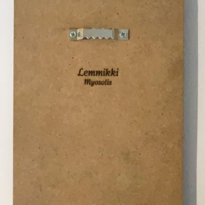 Suomalaisesta koivuvanerista tehty kukkataulu takapuolelta